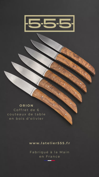 Orion Olivier 6